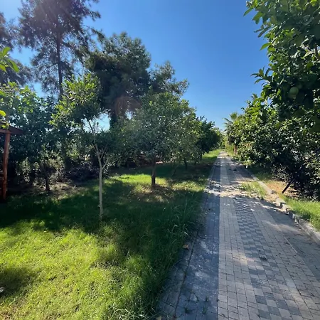 Mersin Panorama 3*